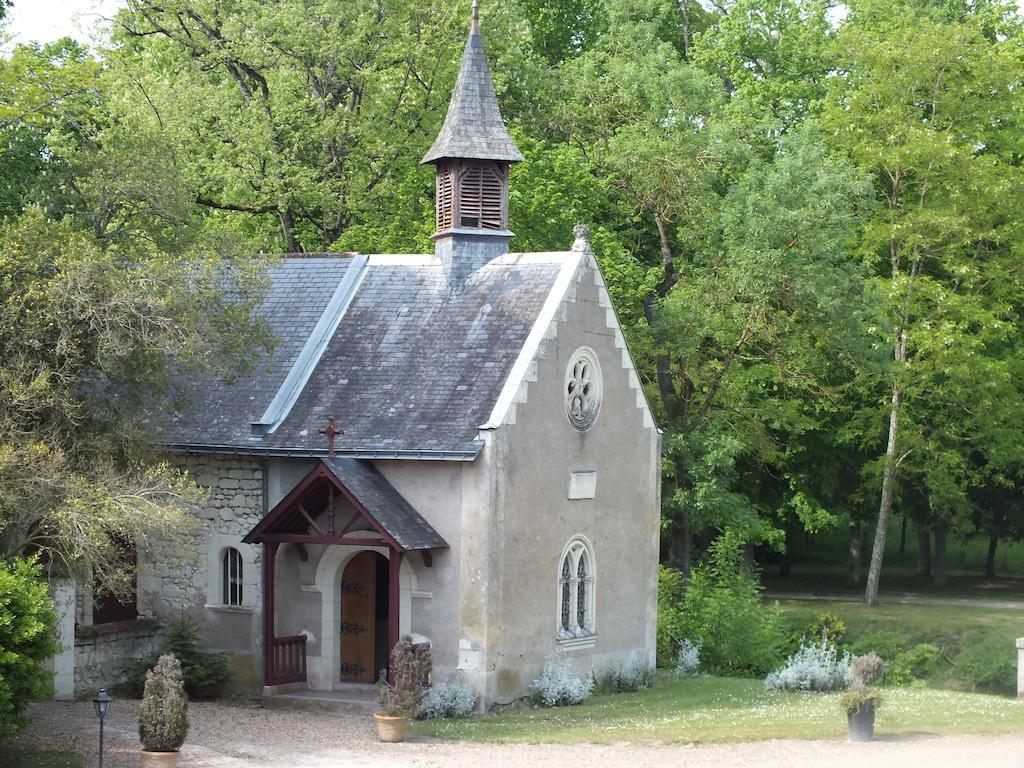 Chateau De Naze Vivy-Saumur Exteriör bild