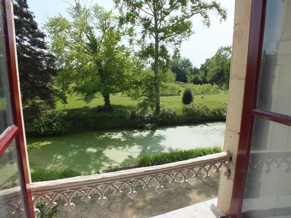Chateau De Naze Vivy-Saumur Exteriör bild