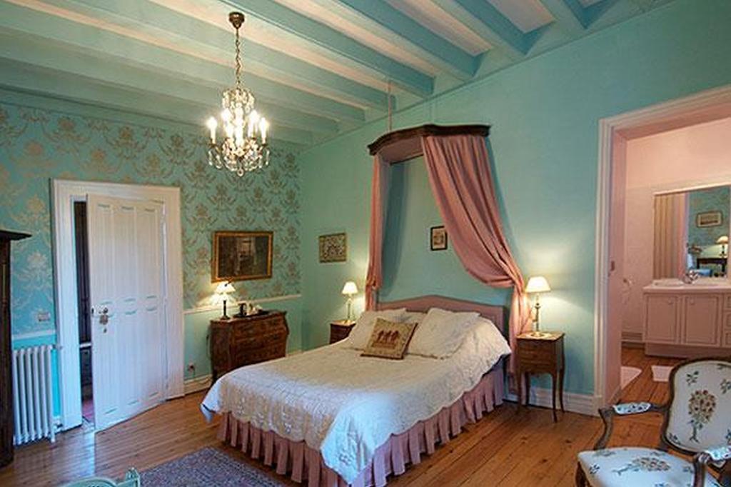 Chateau De Naze Vivy-Saumur Rum bild